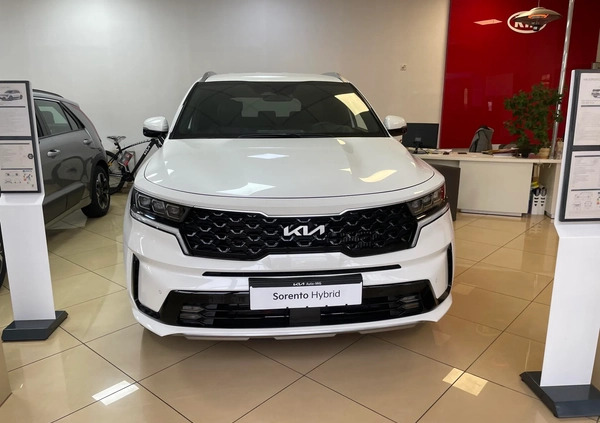 Kia Sorento cena 235490 przebieg: 6, rok produkcji 2023 z Prabuty małe 46